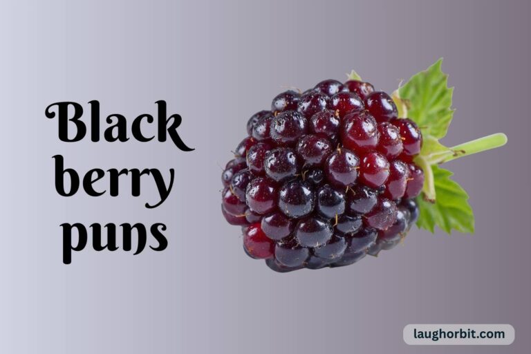 blackberry puns