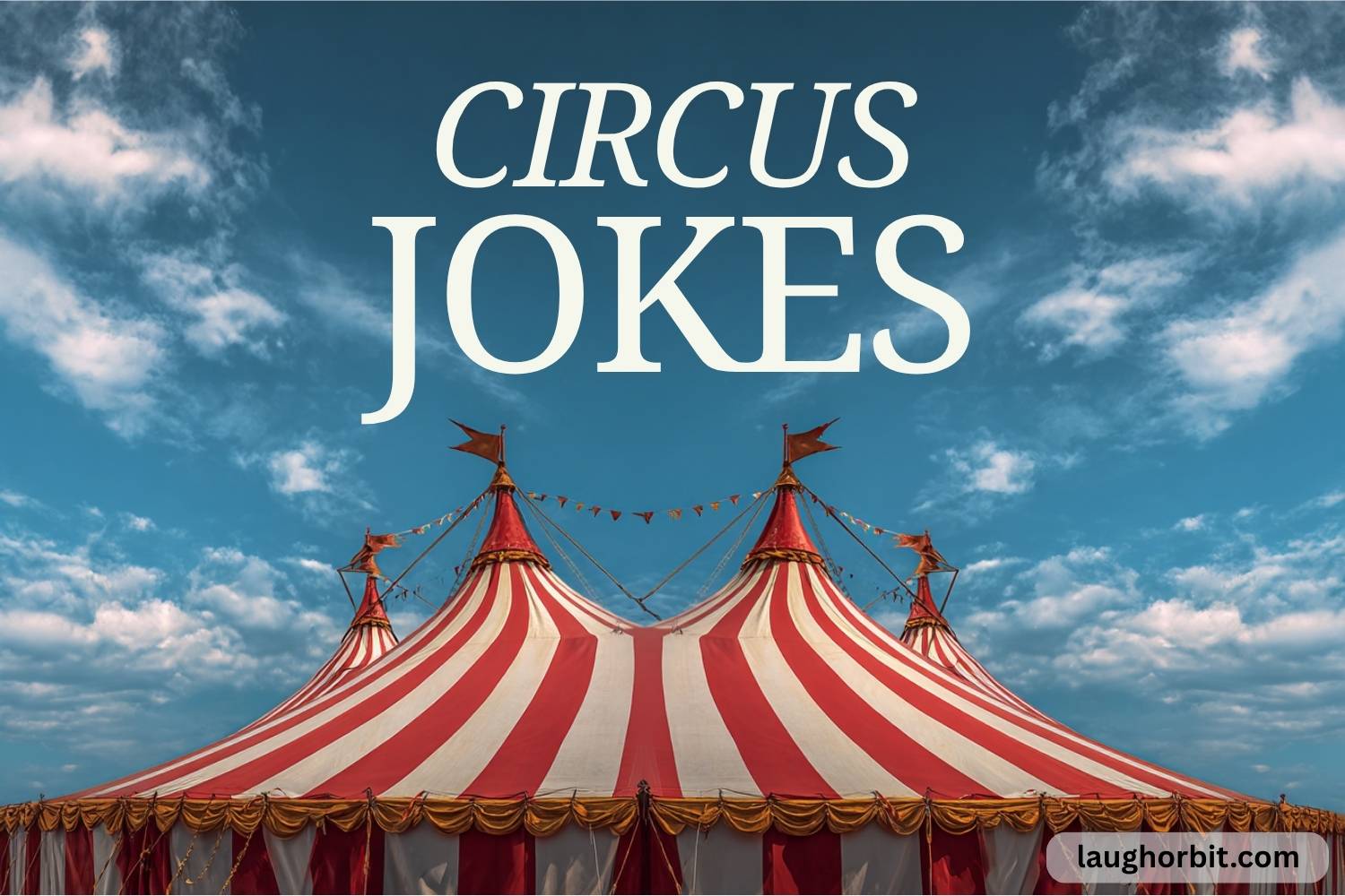 circus jokes