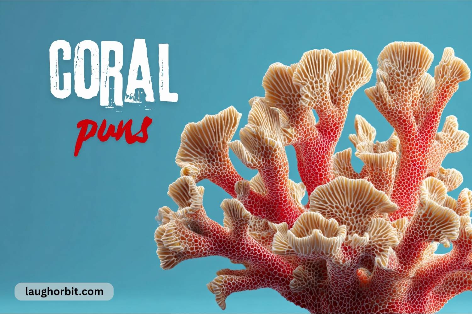 coral puns