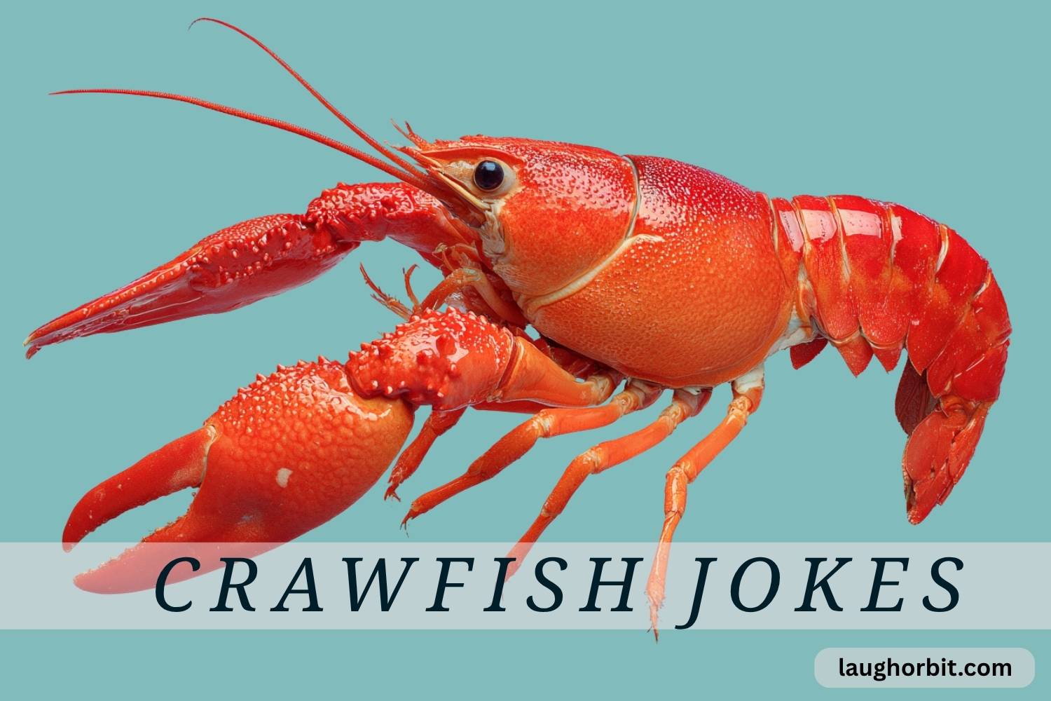 crawfish jokes