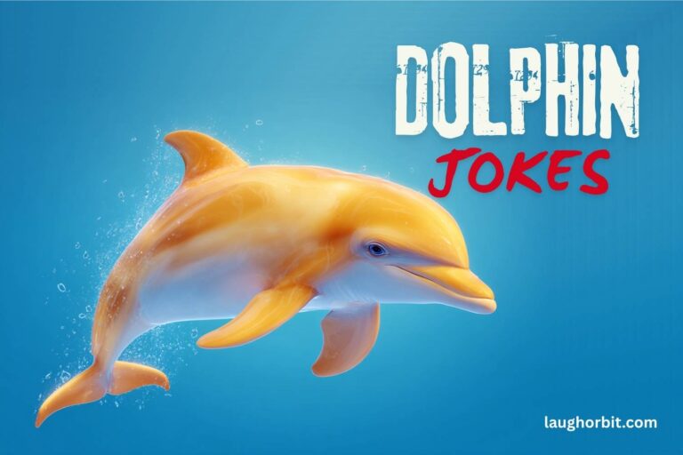 dolphin jokes