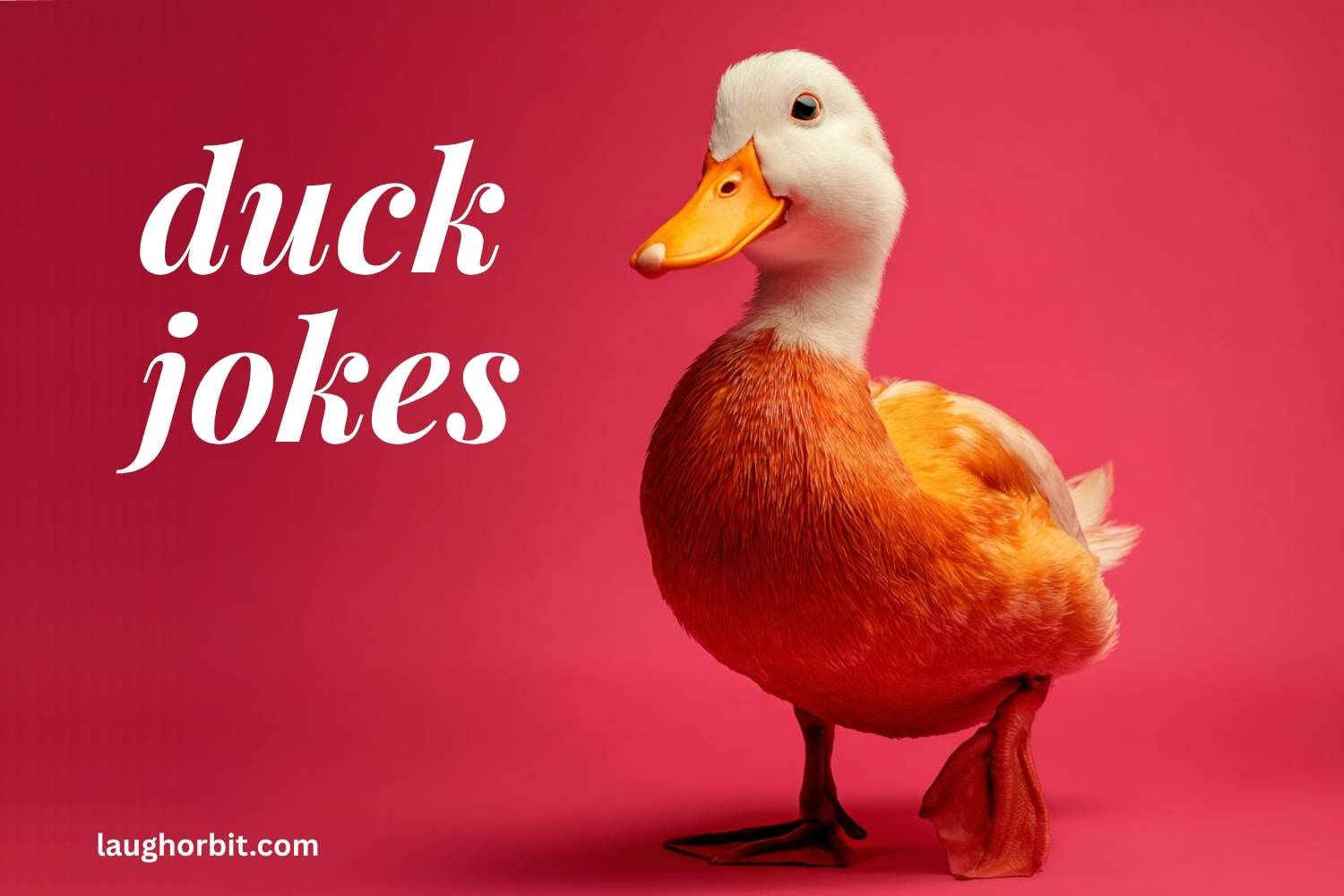duck jokes