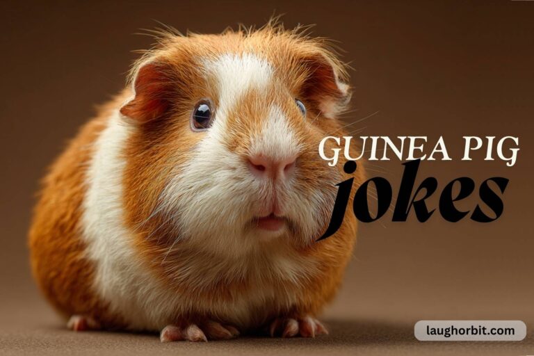 guinea pig jokes