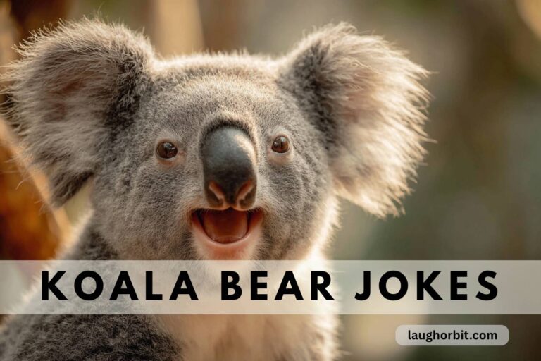 koala bear jokes